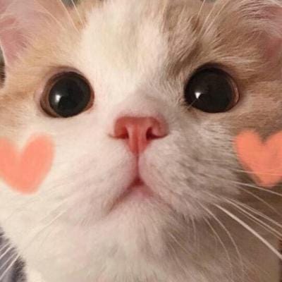 Fernando Zobel avatar